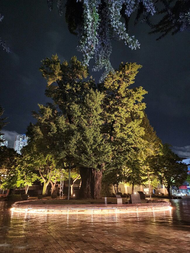 청주 중앙공원 야경 완성